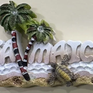 IMG-6- Distant Enterprises Ltd|Magnet Assorted