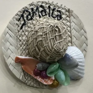 IMG-7- Distant Enterprises Ltd|Magnet Assorted